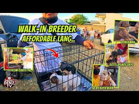 MGA INAABANGAN MURA MGA SARILING ALAGA.. / PT2 FEB. 13, 2026 @BOCAUE PETS & LIVESTOCK MARKET