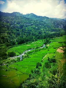 Rohru - Alchetron, The Free Social Encyclopedia
