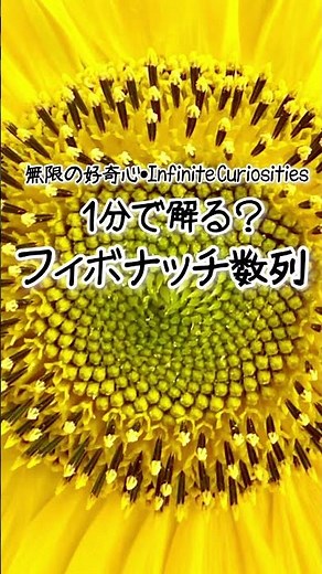 【フィボナッチ数列】1分で解る。#フィボナッチ数列