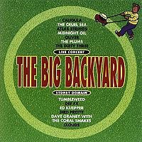 Various - The Big Backyard