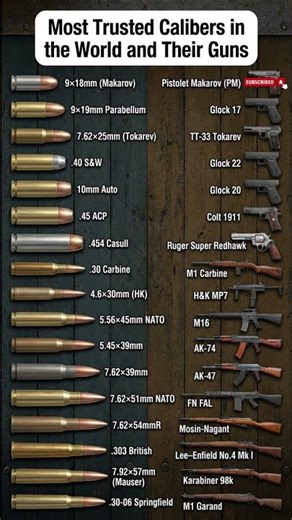 Popular Pistol & Rifle Calibers Explained | Ammo Size Comparison