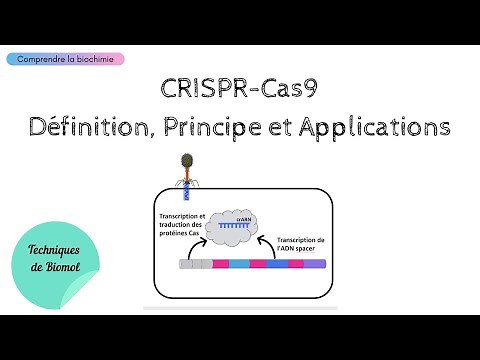 CRISPR Cas9: Definitions, Principle and Applications | NOBEL PRIZE IN CHEMISTRY 2020