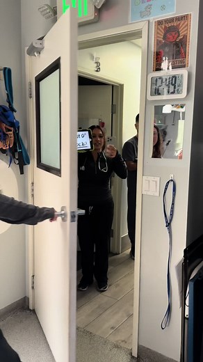 Understanding Veterinary Medicine and Tech Careers