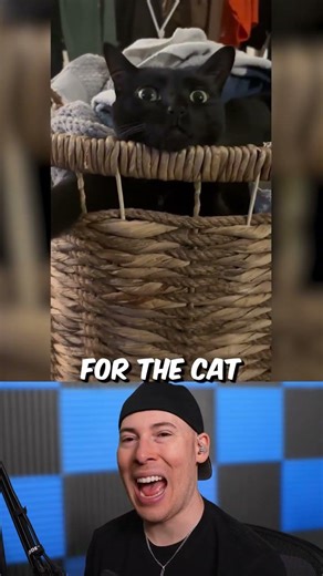 Animals Being Cute
