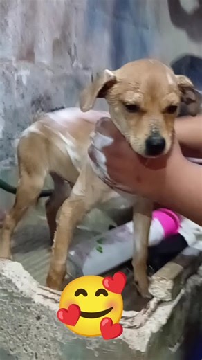 24 de febrero de 2026