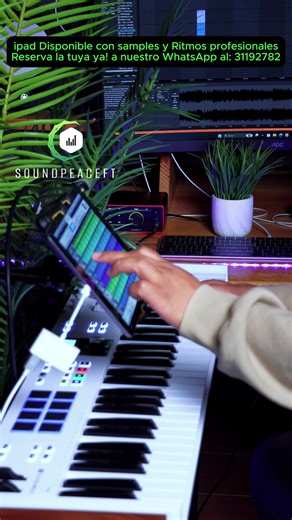 iPad Disponibles con más de 2000 Samples y más de 100 Ritmos Profesionales, a un Precio de Oferta!✅ 🛵 Envío gratis a todo el país! ✅ Pago contra entrega (Pagas al recibir tu iPad) ✅ WhatsApp al: 31192782 Contamos con librerías de: ✅Yamaha PSR 550 ✅Korg Triton Studio ✅Korg N364 ✅Korg 01W ✅Korg M1 ✅Korg D50 ✅Pianos para centro, pianos de adoración y Worship Pads. ✅Instrumentos Reales ✅Sonidos de Jacobo Reynoso, Banda Transfiguración, etc. ✅Korg PA1000 ✅Korg PA700 ✅Yamaha PSR900 ✅Korg Kronos ✅Korg