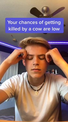 Small Percentage of the Chances of Getting Killed by a Cow