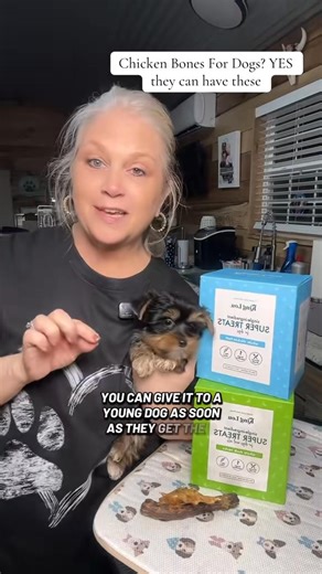 https://kingloupets.com/Pamspreciousyorkies Promo Code PAMSYORKIES #AD We love All King Lou Products! Single Ingredients that support bone and joint health. And clean teeth of plaque and tarter 🦷❤️ | Pam's Precious Yorkies