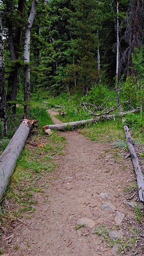 Walk with me :-) | Tim Nicholson