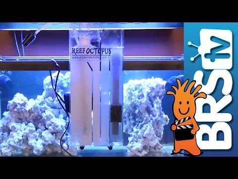 Protein Skimmers, Test Kits, Carbon and Acclimation - EP:2 How to set up a saltwater aquarium