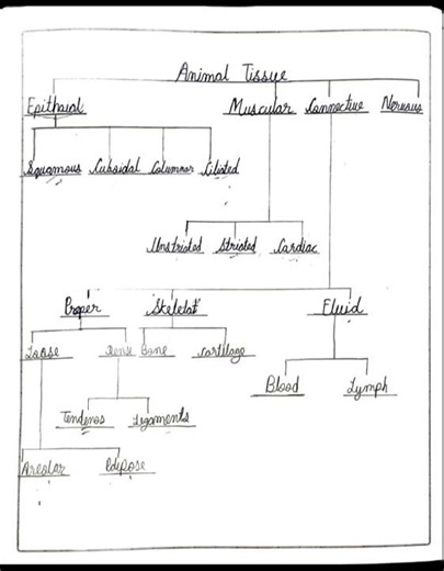 "Tissue class 9 | Biology Notes for Exams " #class9biolog #quickrevision #ncertbiology