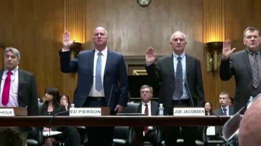 Boeing whistleblowers appear at congressional hearing