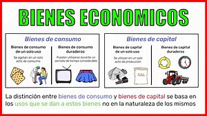 Los Bienes Económicos y su clasificación