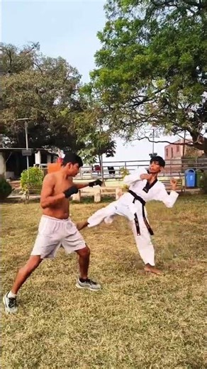 Boxing VS Taekwondo | Taekwondo versus boxing | Marshal art comparison | which martial arts is best
