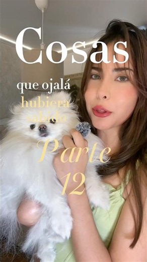 Cosas que ojalá hubiera sabido antes de tener un Pomerania. Parte 12. #pomeranian #pomerania #dogmom