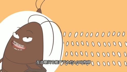 打不死的小强
