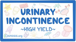 Urinary incontinence: Pathology review: Video | Osmosis