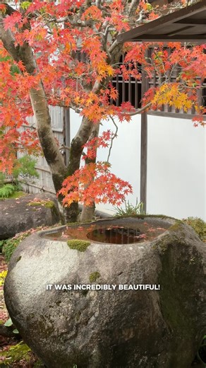 Hagi is a beautifully preserved city in Yamaguchi Prefecture, often described as an "open-air museum" because its feudal-era layout remains largely unchanged since the Edo period 🇯🇵 Here are a few key spots to add to your itinerary: 👘 Kimono Style Cafe: This spot specializes in kimono rentals, where you can choose a beautiful garment to wear while exploring the historic streets 🏯 Hagi Merchant Districts: Wander through the historic town, featuring remarkably preserved white-walled alleys and