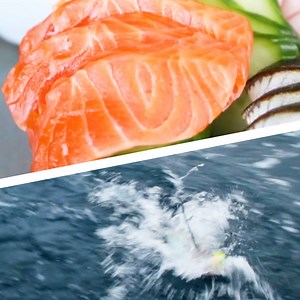 Bamboo Sushi In Portland Is The First Sustainable Sushi Restaurant In The US | LOST iN