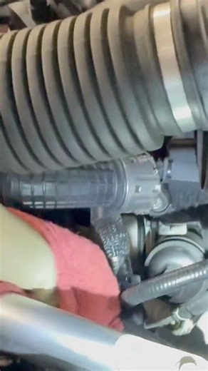 Changing Oil Filter on Genesis GV80 shorts