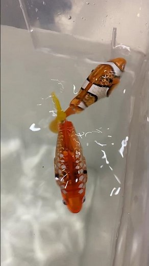 Tail Speed Comparison - Zuru Alive Robo Fish Color Change Series 1 vs. 3 #zuru #robofish #robot