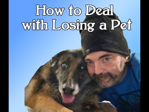 How to Deal With Losing a Pet