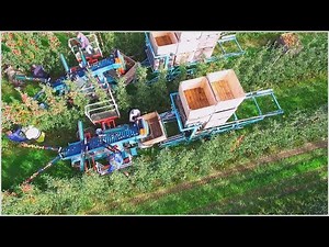This is How Millions of Apples Harvested Amazingly Fast in Modern Farms