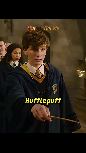 Todo lo que necesitas saber sobre Hufflepuff