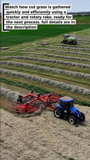 Efficient Grass Gathering: Using a Tractor and Rotary Rake