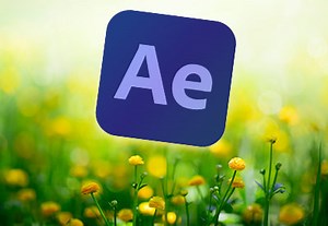 10 Top Spring Templates for After Effects | Envato Tuts+