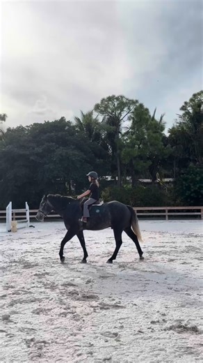 Step into the arena with Lily! Our first mic’d up lesson gives you a real look at the RedStone Riding Academy training experience.🎤🐎 Book your first lesson today! ❤️ #horsebackriding #redstoneridingacademy #redstoneranches #micdup | RedStone Ranch