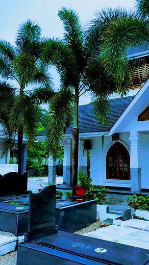 James Mathew on Reels