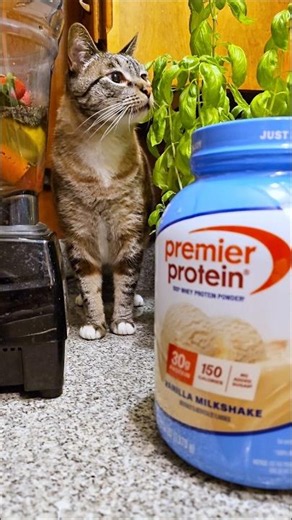 Vitamix blender smoothie recipe step-by-step with Premier Protein Powder