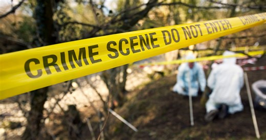 Herb Baumeister: What Was Discovered at the Fox Hollow Farm?