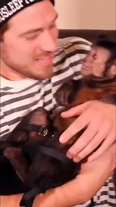 Monkey artist drawing #monkey #drawing #artist #cute | MonkeyBoo