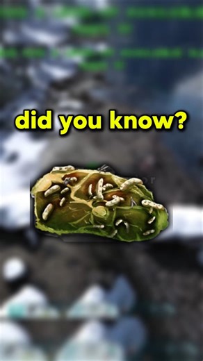 This ARK Trick Saves HOURS (Instant Spoiled Meat Guide) #arksurvivalevolved #ark #shorts #arktips