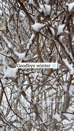 Goodbye winter ❄️ I’ll miss you 😢 #spring #winter #Christmas