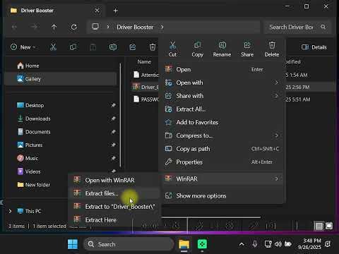 Driver Booster Pro Portable. How to download and install