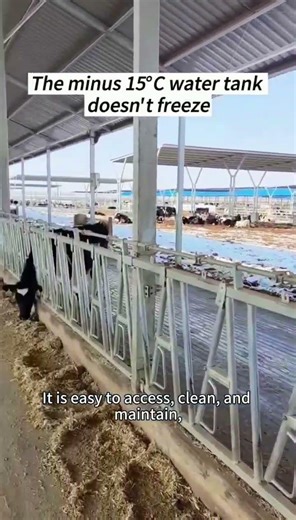 100-120l/min flow rate lldpe cattle water trough for standards