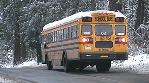 Snowy School Bus Stanley Park Vancouver Stock Footage Video (100% Royalty-free) 331645 | Shutterstock