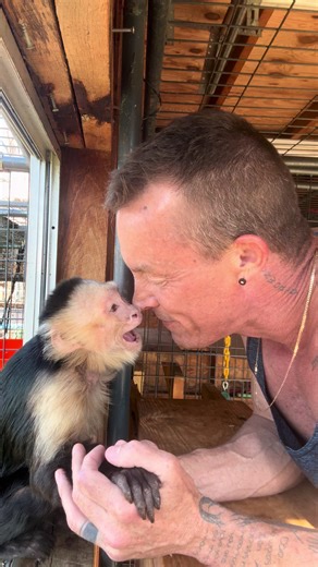 Wally the Rescued Monkey: A True Testament of Love