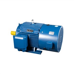 [Hot Item] 37kw Series Variable Frequency Asynchronous AC Electric-Motor