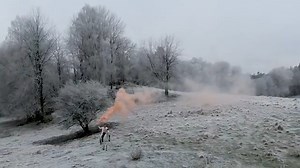 EVERGREY - Eternal Nocturnal (2021) AFM Records #EVERGREY #EternalNocturnal #Musicasalifestyle #ROCKlifestyle | Music as a lifestyle