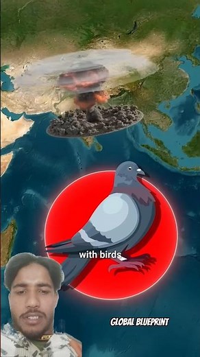 The Country That Went to War With Birds The Great Emu War?🤯#shorts #geography #usa #maps