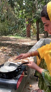 2.9M views · 10K reactions | Fresh dates harvesting ❤️ | OMAN UPTO DATE | Facebook