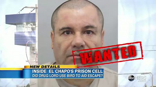Go Inside the Jail Cell of 'El Chapo'