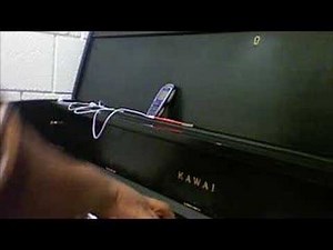 Golden Days:Ryan Leslie