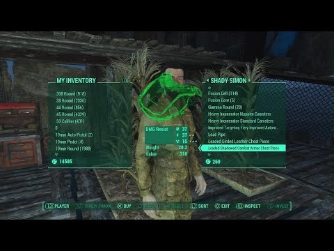 Fallout 4 Creation Club Blackwater Settlement - 2026 02 14