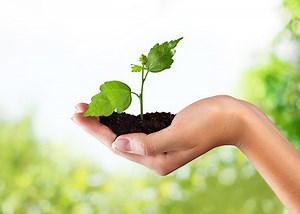 पर्यावरण पर निबंध - Environment Essay in Hindi - Paryavaran par Nibandh