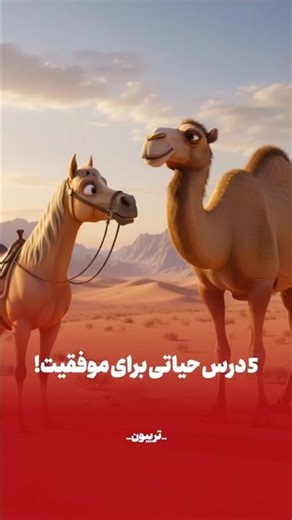 ۵ درس موفقیت و بهترین استراتژی رشد شخصی